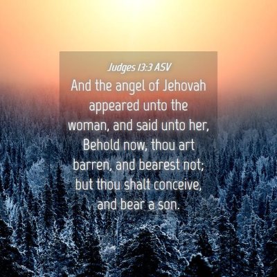 Picture 04 - Judges 13:3 ASV - And the angel of Jehovah appeared unto the woman, - Bible Verse Picture