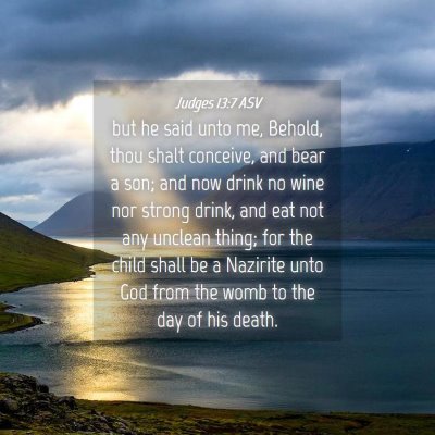 Picture 04 - Judges 13:7 ASV - but he said unto me, Behold, thou shalt conceive, - Bible Verse Picture