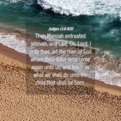 Picture 04 - Judges 13:8 ASV - Then Manoah entreated Jehovah, and said, Oh, - Bible Verse Picture
