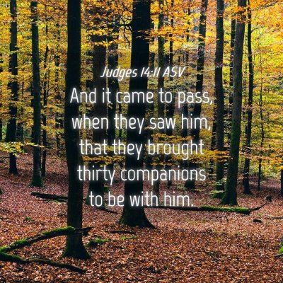 Picture 04 - Judges 14:11 ASV - And it came to pass, when they saw him, that they - Bible Verse Picture
