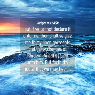 Picture 04 - Judges 14:13 ASV - but if ye cannot declare it unto me, then shall - Bible Verse Picture