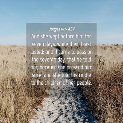 Picture 04 - Judges 14:17 ASV - And she wept before him the seven days, while - Bible Verse Picture