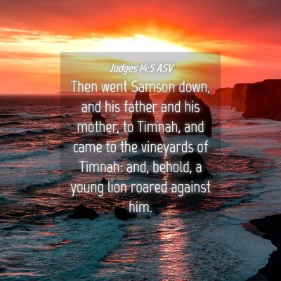 Picture 04 - Judges 14:5 ASV - Then went Samson down, and his father and his - Bible Verse Picture