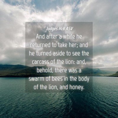 Picture 04 - Judges 14:8 ASV - And after a while he returned to take her; and he - Bible Verse Picture