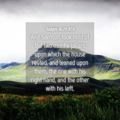 Picture 04 - Judges 16:29 ASV - And Samson took hold of the two middle pillars - Bible Verse Picture