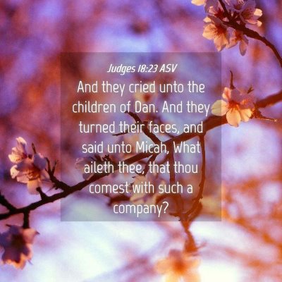 Picture 04 - Judges 18:23 ASV - And they cried unto the children of Dan. And they - Bible Verse Picture