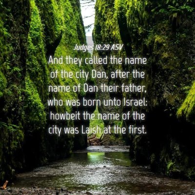 Picture 04 - Judges 18:29 ASV - And they called the name of the city Dan, after - Bible Verse Picture
