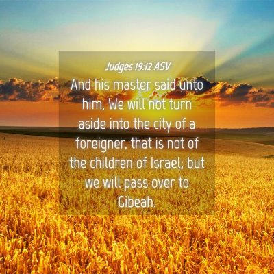 Picture 04 - Judges 19:12 ASV - And his master said unto him, We will not turn - Bible Verse Picture
