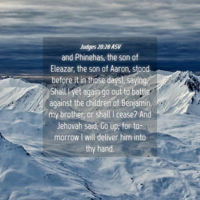 Picture 04 - Judges 20:28 ASV - and Phinehas, the son of Eleazar, the son of - Bible Verse Picture