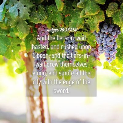 Picture 04 - Judges 20:37 ASV - And the liers-in-wait hasted, and rushed upon - Bible Verse Picture