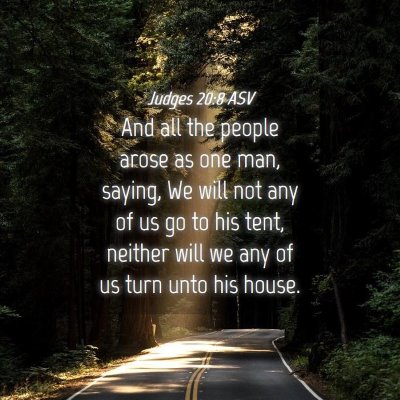 Picture 04 - Judges 20:8 ASV - And all the people arose as one man, saying, We - Bible Verse Picture