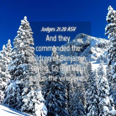 Picture 04 - Judges 21:20 ASV - And they commanded the children of Benjamin, - Bible Verse Picture