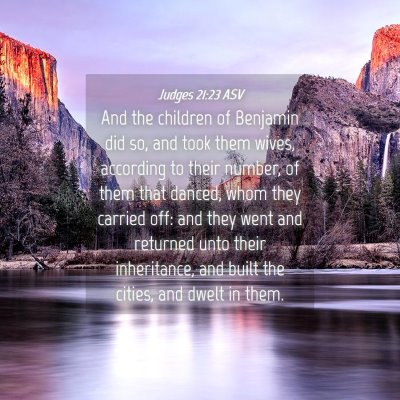 Picture 04 - Judges 21:23 ASV - And the children of Benjamin did so, and took - Bible Verse Picture