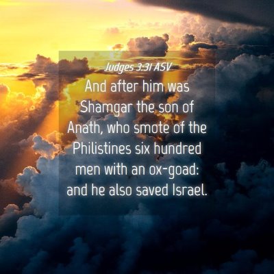 Picture 04 - Judges 3:31 ASV - And after him was Shamgar the son of Anath, who - Bible Verse Picture