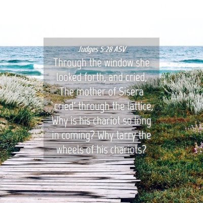 Picture 04 - Judges 5:28 ASV - Through the window she looked forth, and cried, - Bible Verse Picture