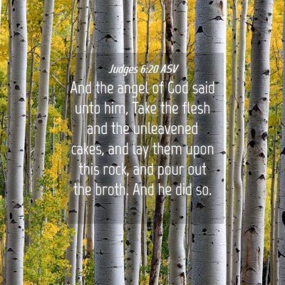 Picture 04 - Judges 6:20 ASV - And the angel of God said unto him, Take the - Bible Verse Picture