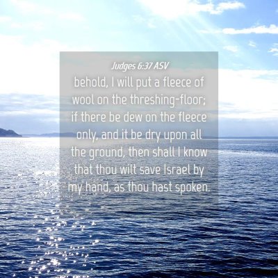 Picture 04 - Judges 6:37 ASV - behold, I will put a fleece of wool on the - Bible Verse Picture