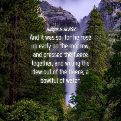 Picture 04 - Judges 6:38 ASV - And it was so; for he rose up early on the - Bible Verse Picture