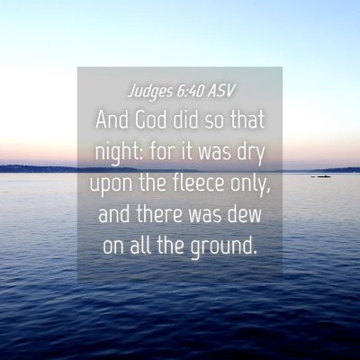 Picture 04 - Judges 6:40 ASV - And God did so that night: for it was dry upon - Bible Verse Picture