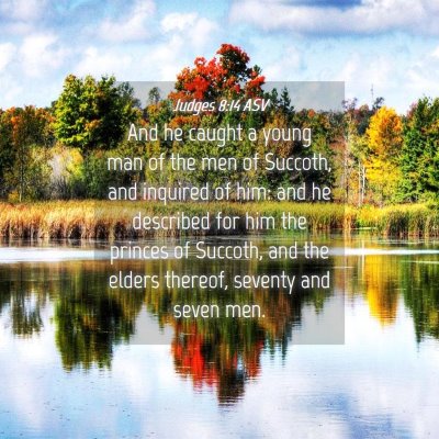 Picture 04 - Judges 8:14 ASV - And he caught a young man of the men of Succoth, - Bible Verse Picture