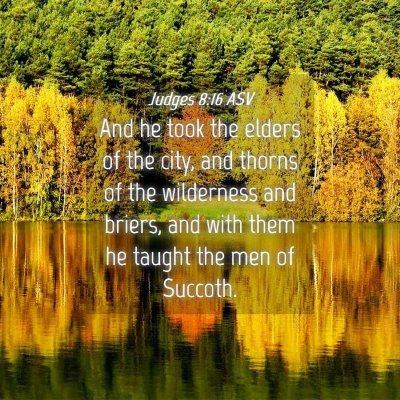 Picture 04 - Judges 8:16 ASV - And he took the elders of the city, and thorns of - Bible Verse Picture