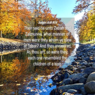 Picture 04 - Judges 8:18 ASV - Then said he unto Zebah and Zalmunna, What manner - Bible Verse Picture