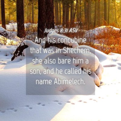 Picture 04 - Judges 8:31 ASV - And his concubine that was in Shechem, she also - Bible Verse Picture