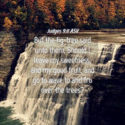 Picture 04 - Judges 9:11 ASV - But the fig-tree said unto them, Should I leave - Bible Verse Picture