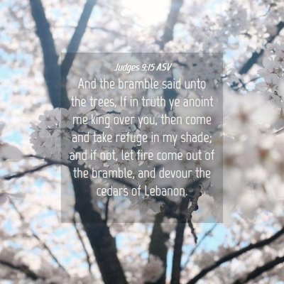 Picture 04 - Judges 9:15 ASV - And the bramble said unto the trees, If in truth - Bible Verse Picture