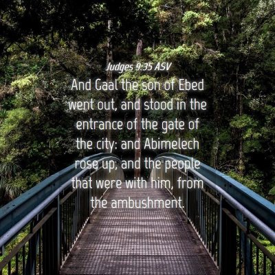 Picture 04 - Judges 9:35 ASV - And Gaal the son of Ebed went out, and stood in - Bible Verse Picture