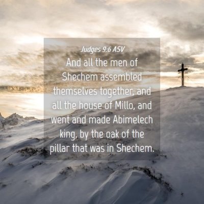 Picture 04 - Judges 9:6 ASV - And all the men of Shechem assembled themselves - Bible Verse Picture