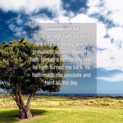 Picture 04 - Lamentations 1:13 ASV - From on high hath he sent fire into my bones, and - Bible Verse Picture