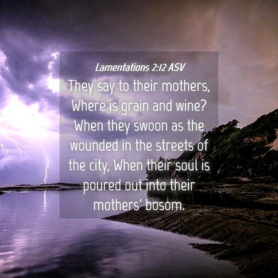 Picture 04 - Lamentations 2:12 ASV - They say to their mothers, Where is grain and - Bible Verse Picture