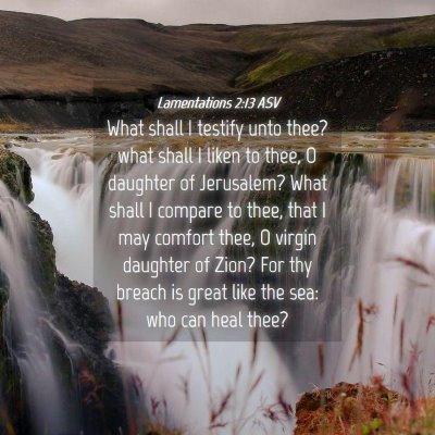 Picture 04 - Lamentations 2:13 ASV - What shall I testify unto thee? what shall I - Bible Verse Picture