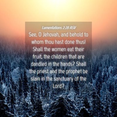 Picture 04 - Lamentations 2:20 ASV - See, O Jehovah, and behold to whom thou hast done - Bible Verse Picture