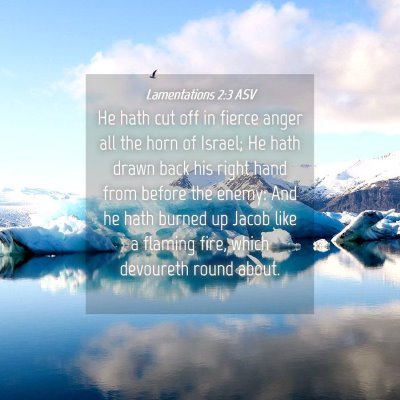Picture 04 - Lamentations 2:3 ASV - He hath cut off in fierce anger all the horn of - Bible Verse Picture