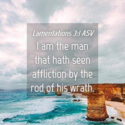 Picture 04 - Lamentations 3:1 ASV - I am the man that hath seen affliction by the rod - Bible Verse Picture