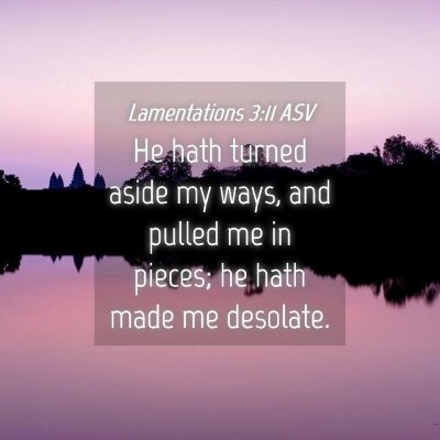 Picture 04 - Lamentations 3:11 ASV - He hath turned aside my ways, and pulled me in - Bible Verse Picture