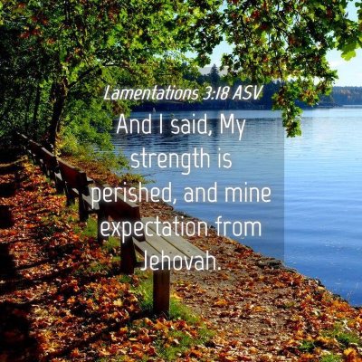 Picture 04 - Lamentations 3:18 ASV - And I said, My strength is perished, and mine - Bible Verse Picture