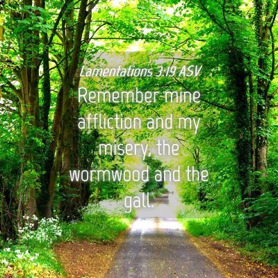 Picture 04 - Lamentations 3:19 ASV - Remember mine affliction and my misery, the - Bible Verse Picture