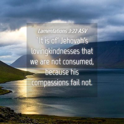 Picture 04 - Lamentations 3:22 ASV - `It is of' Jehovah's lovingkindnesses that we are - Bible Verse Picture