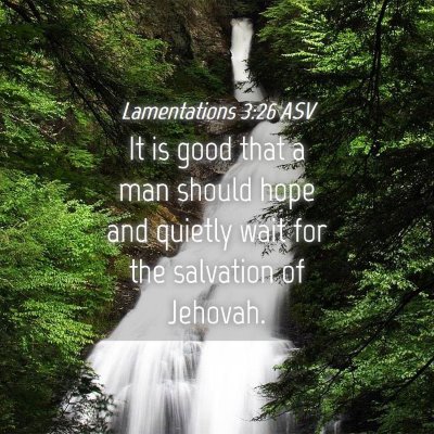 Picture 04 - Lamentations 3:26 ASV - It is good that a man should hope and quietly - Bible Verse Picture