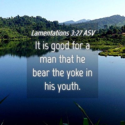 Picture 04 - Lamentations 3:27 ASV - It is good for a man that he bear the yoke in his - Bible Verse Picture
