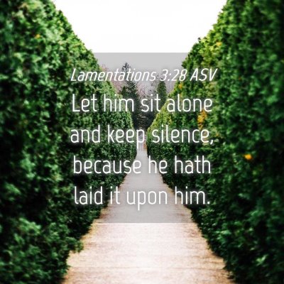 Picture 04 - Lamentations 3:28 ASV - Let him sit alone and keep silence, because he - Bible Verse Picture