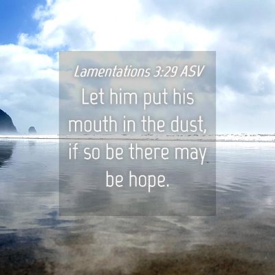 Picture 04 - Lamentations 3:29 ASV - Let him put his mouth in the dust, if so be there - Bible Verse Picture