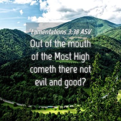 Picture 04 - Lamentations 3:38 ASV - Out of the mouth of the Most High cometh there - Bible Verse Picture