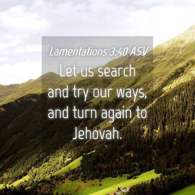 Picture 04 - Lamentations 3:40 ASV - Let us search and try our ways, and turn again to - Bible Verse Picture