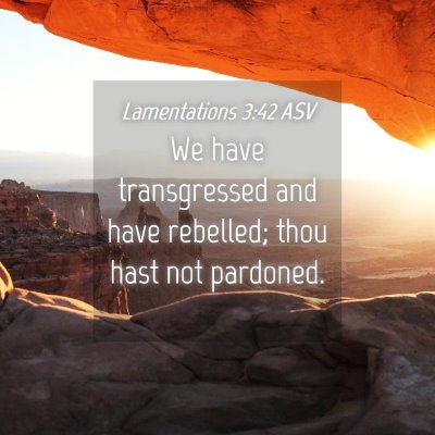 Picture 04 - Lamentations 3:42 ASV - We have transgressed and have rebelled; thou hast - Bible Verse Picture