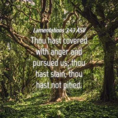 Picture 04 - Lamentations 3:43 ASV - Thou hast covered with anger and pursued us; thou - Bible Verse Picture