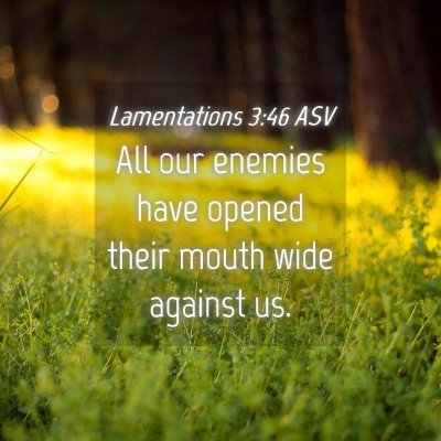 Picture 04 - Lamentations 3:46 ASV - All our enemies have opened their mouth wide - Bible Verse Picture